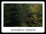 powiksz zdjcie